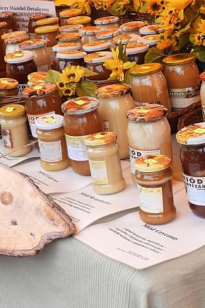 Festiwal Żywności Wolnej od GMO w Zamościu-6017
