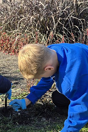 Zazieleniamy Zamość-6104