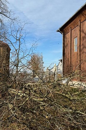 Drzewo runęło przy kościele w Dubie-6118