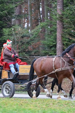 Zimowy Rajd Pieszy z Mikołajem-6196