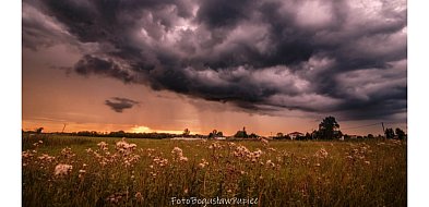 Fotografie Bogusława Pupca podczas Narodowego Czytania w Łabuniach-366398