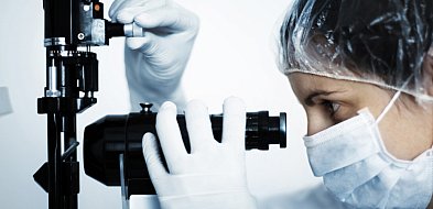 Niezwykły błąd natury - polscy naukowcy odkryli robaki z dwiema głowami-367703