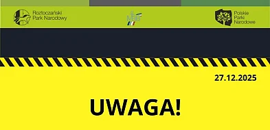 Uwaga! Silny wiatr nad Roztoczem – parki zamknięte-368905