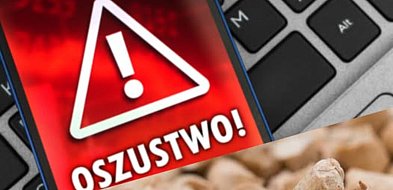 Kupili pellet, stracili tysiące. Fałszywe sklepy znów atakują-369343