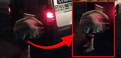 Półnagi mężczyzna w Zamościu wylądował w krzakach