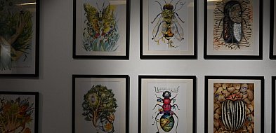 Las pełen opowieści – wernisaż Agnieszki Rzeźniak SzurSzur w Biłgoraju