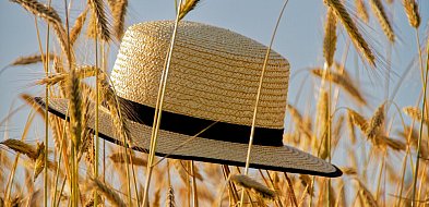 21 czerwca to pierwszy dzień lata, ale był taki rok, w którym lato nie nadeszło