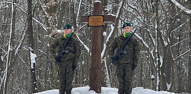 Co wydarzyło się w zawalowskim lesie? Mieszkańcy znów tam wrócili