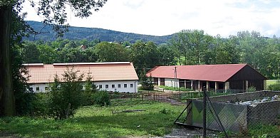 Dziś w kraju i na świecie (czwartek, 12 lutego)