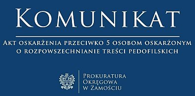 Pięciu mężczyzn oskarżonych o rozpowszechnianie treści pedofilskich