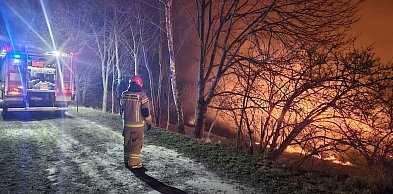 STOP Pożarom Traw - konferencja w zamojskiej straży