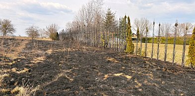 Pożar traw w gminie Nielisz. Ogień zniszczył działki
