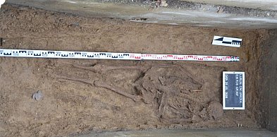 Lublin/ IPN odnalazł szczątki prawdopodobnie więźniów straconych na Zamku