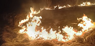 Pożar traw w Rejowcu Fabrycznym. Policjanci zapobiegli tragedii