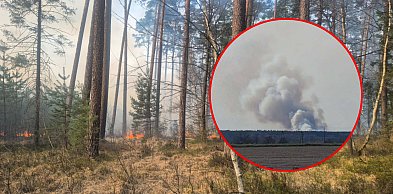 Powiat lubaczowski. Wielki pożar lasu w Cewkowie! Akcja trwała wiele godzin