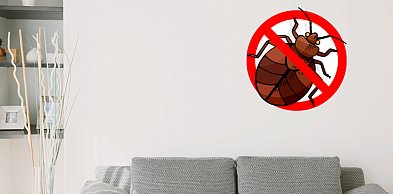 Jak wyglądają ukąszenia pluskiew i jak je zwalczyć?