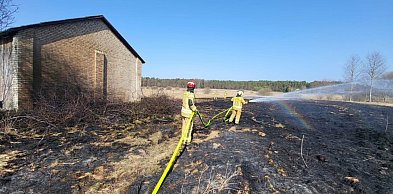 Pożar traw w Żdanowie. Ogień zbliżał się do zabudowań
