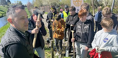Zielone płuca Zamościa rosną w siłę. Setki nowych drzew nad Łabuńką