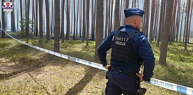 Pożar lasów i katastrofa samolotu. Policja podała nowe fakty