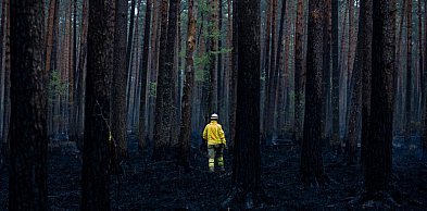 Najgorsze minęło! Pożar w Puszczy Solskiej opanowany [MAMY NAGRANIE]