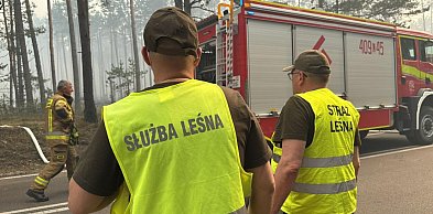 Pożar w Puszczy Solskiej: trwa szacowanie strat