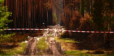 Leśnicy: pożarzysko w Puszczy Solskiej obejmuje 1157 ha lasu