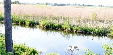 Tragedia w gm. Sułów. 69-letni wędkarz utonął w rzece