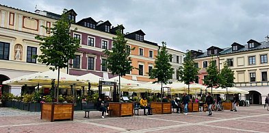 Rynek Wielki w Zamościu bardziej zielony