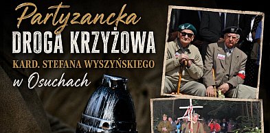 Droga Krzyżowa Pamięci w Osuchach