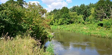 Lubelskie. Trzy nowe rezerwaty przyrody w regionie-366639