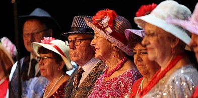 Jubileusz Cameraty i Kabaretu Aluzja w Tomaszowie Lubelskim-367023
