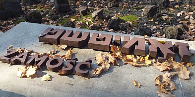 Marsz Pamięci w 83. rocznicę likwidacji zamojskiego getta-367185