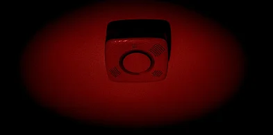 Lubelskie/ We wsi Piotrkówek w każdym domu jest czujka dymu-367428