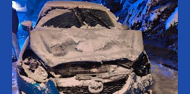 Drzewa spadały na auta-368037