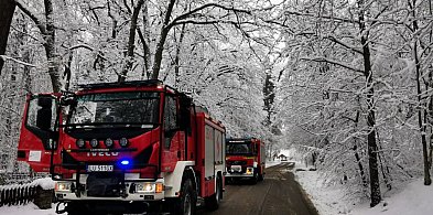 Zimowe interwencje strażaków z zamojskiego-368055