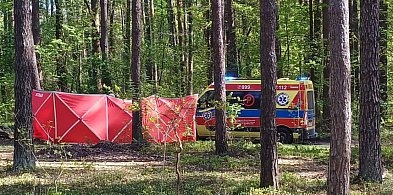 Lubelskie/ Prokuratura umorzyła śledztwo ws. śmierci 14-latki po upadku z konia-368396