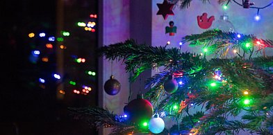 Choinka niejedno ma imię-368804