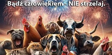 Sylwester w Zwierzyńcu – bez fajerwerków-368959