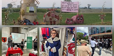 TOP 10 najczęściej czytanych artykułów na roztocze.net w 2025 roku-368983