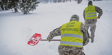 Terytorialsi odśnieżają Zamość-369136