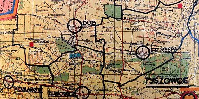 Ilu wiernych chodzi do kościoła? Nowe dane z diecezji-369271