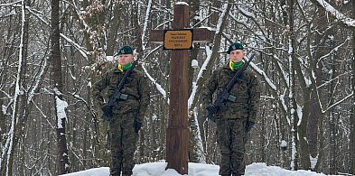 Co wydarzyło się w zawalowskim lesie? Mieszkańcy znów tam wrócili