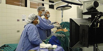 Polska transplantologia po 60 latach: sukcesy, wyzwania i medycyna jutra