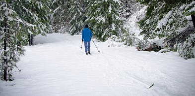 Zamość. Bezpłatna trasa narciarska – dla dzieci i dorosłych