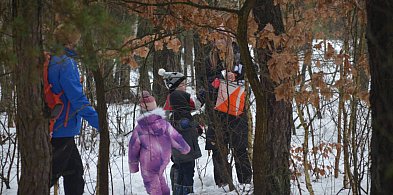 Zimowa Roztoczańska Mordęga przyciągnęła biegaczy z całej Polski