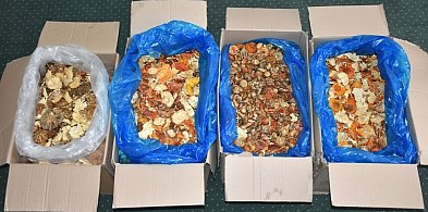 Na granicy zatrzymano 34 kg czerwonych muchomorów z Ukrainy