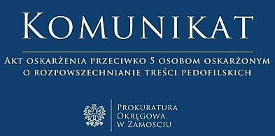 Pięciu mężczyzn oskarżonych o rozpowszechnianie treści pedofilskich