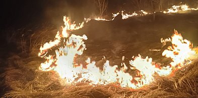 Pożar traw w Rejowcu Fabrycznym. Policjanci zapobiegli tragedii