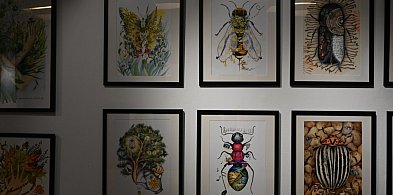 Las pełen opowieści – wernisaż Agnieszki Rzeźniak SzurSzur w Biłgoraju