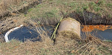 Zamość: plama na cieku wodnym przy ul. Północnej